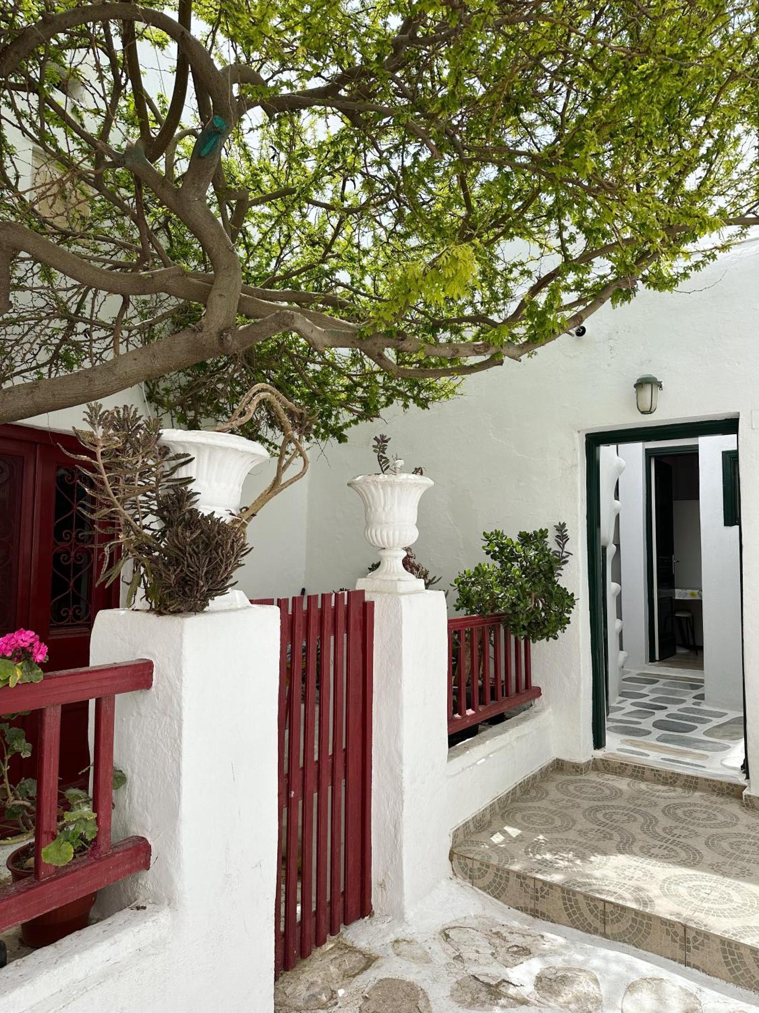 Appartement Solo *